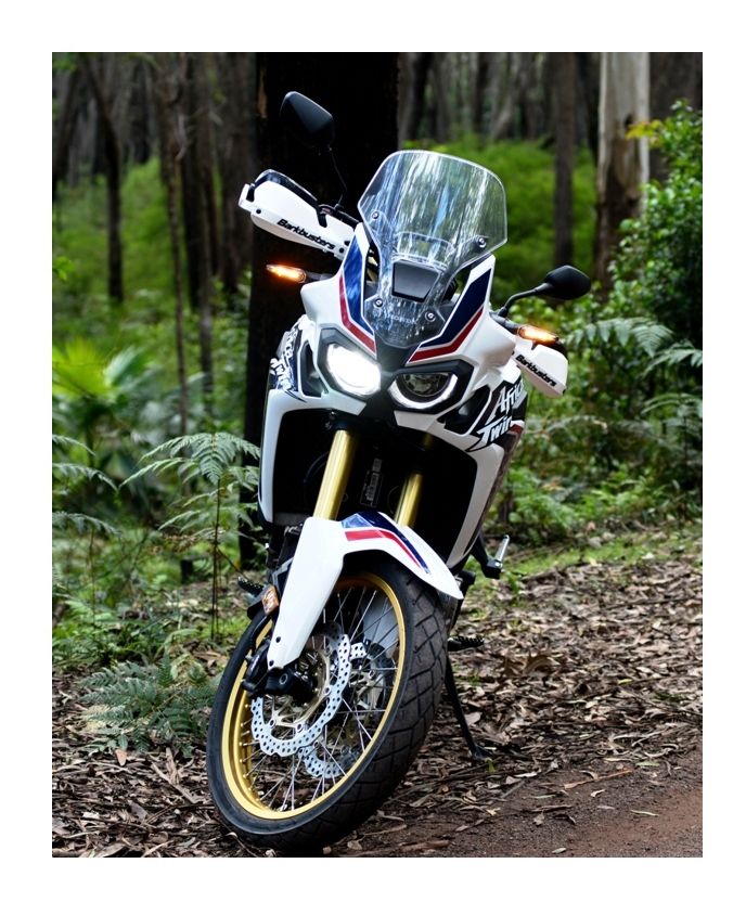 vitakraft guinea pig