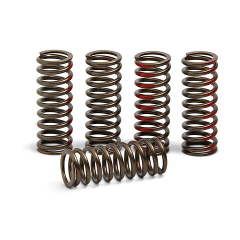 Pro Circuit Clutch Springs Honda CRF250R 2018 (18)