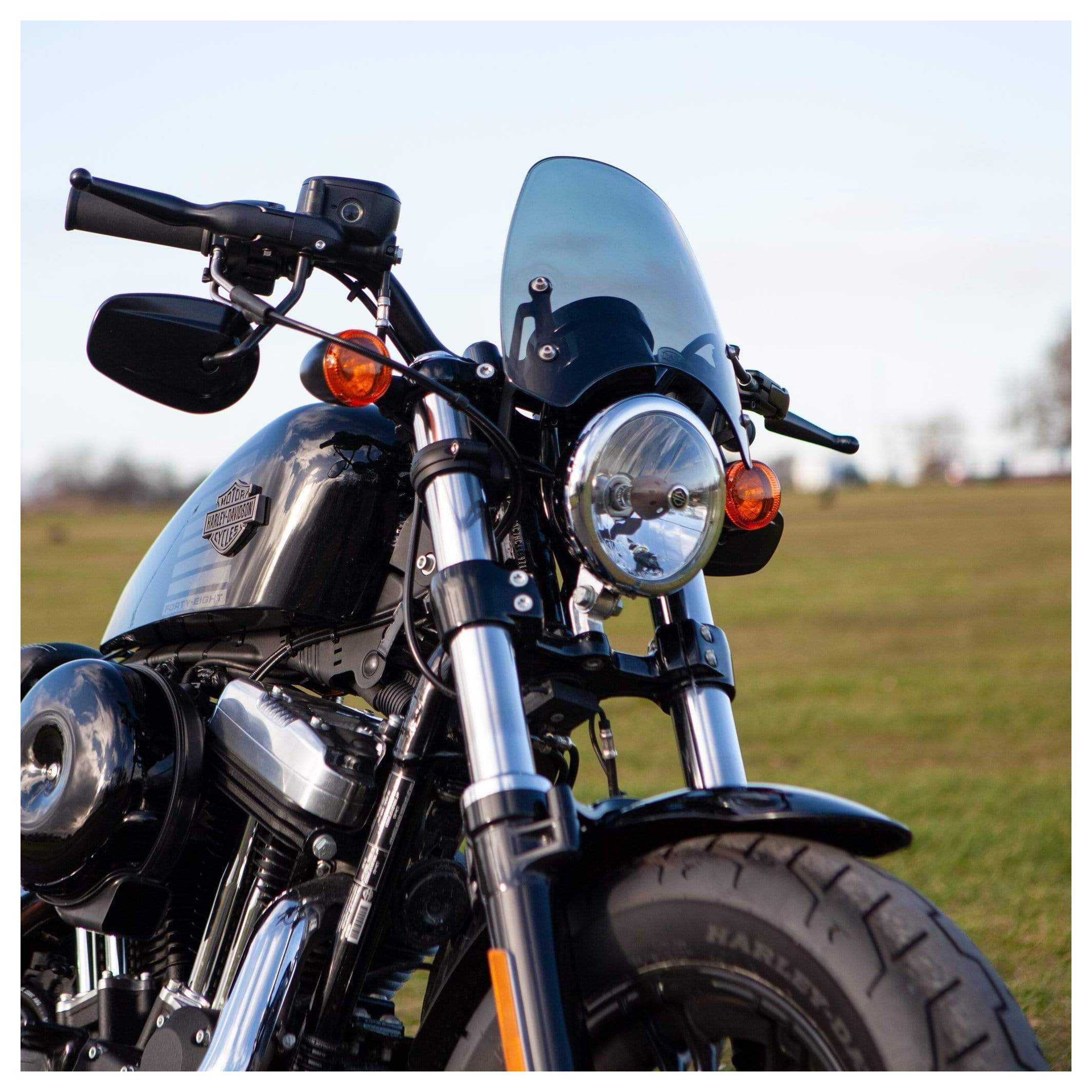 Dart Flyscreens Classic Flyscreen For Harley - RevZilla