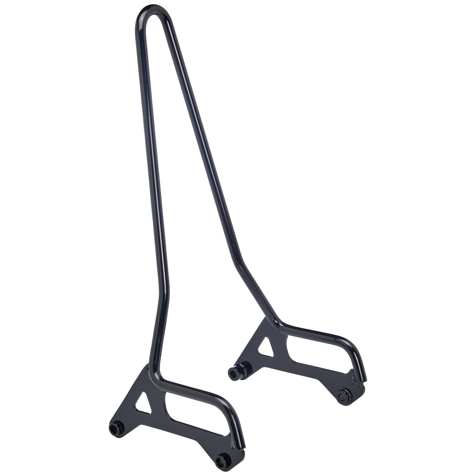 Biltwell EXFIL Sissy Bar For Harley Sportster 2004-2022