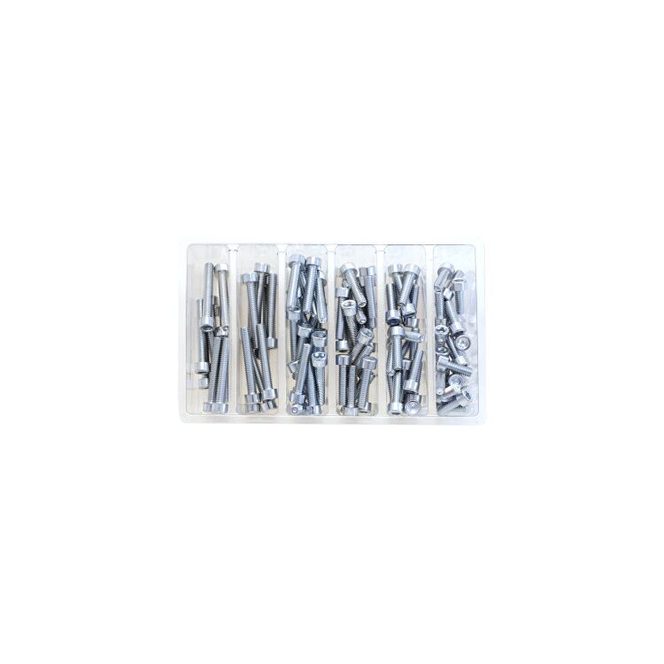 Bolt Hardware Socket Head Allen Assortment