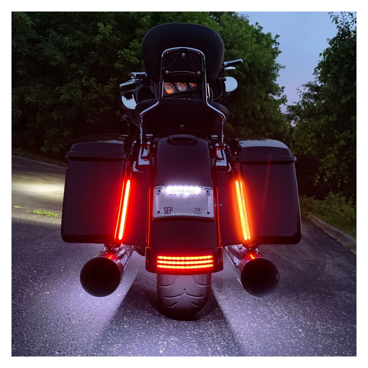 Custom Dynamics Plug and Play Plasma Rods For Harley 8"