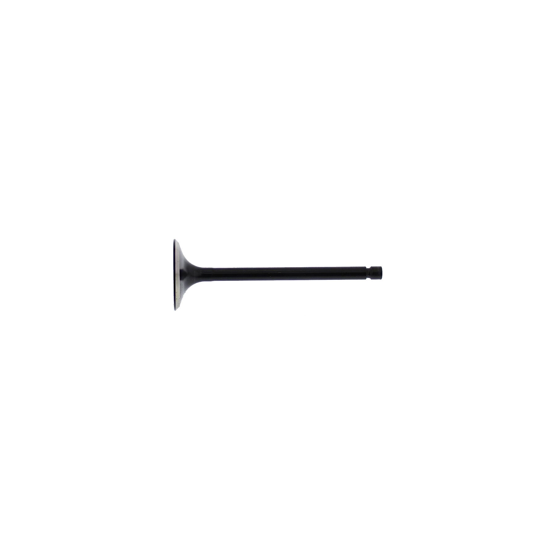Hot Cams Steel Exhaust Valve Polaris Sportsman / XP / X2 550cc 2009-20