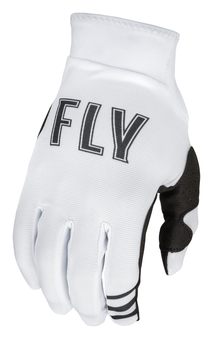 /motorcycle/fly-racing-dirt-pro-lite-gloves-2022