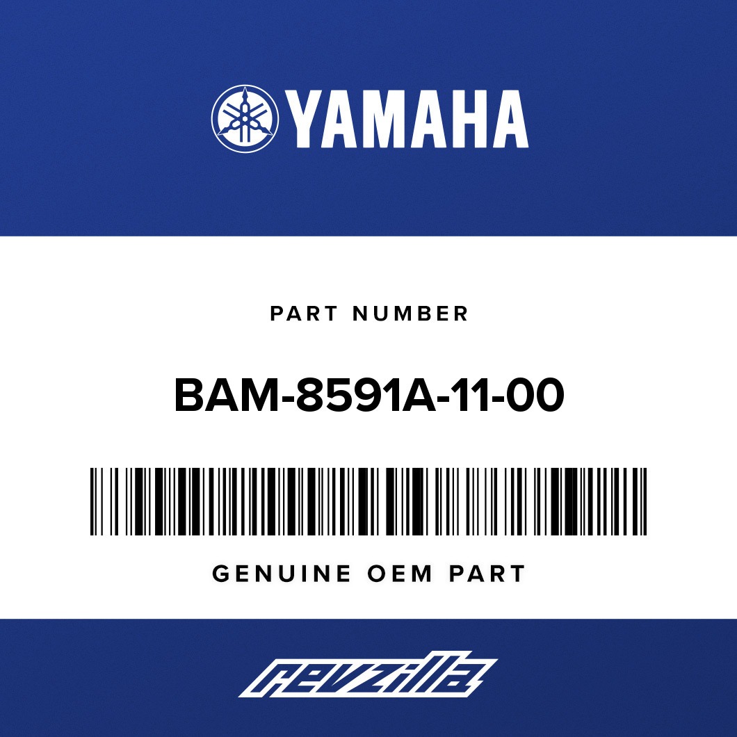 Yamaha BAM8591A1100 ENGINE CONTROL UNIT ASSY RevZilla