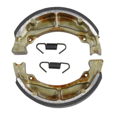 DP Brakes Rear Brake Shoes