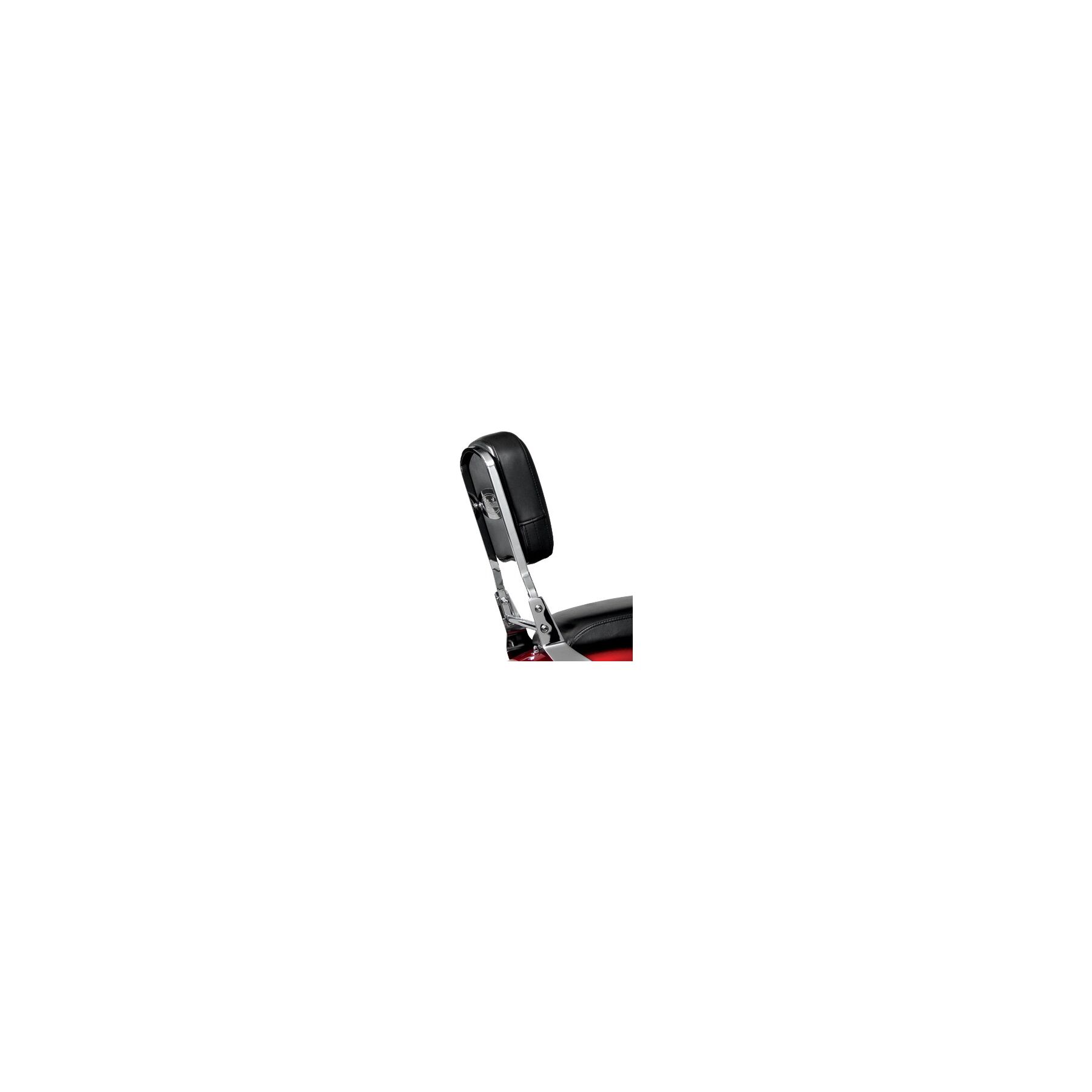 National Cycle Paladin Backrest With Pad