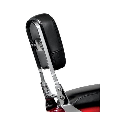 National Cycle Paladin Backrest With Pad