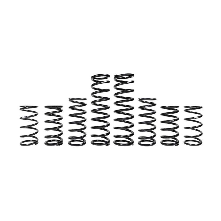 ZBroz Racing Stage 1 Spring Kits