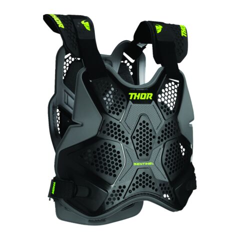 Thor Sentinel Pro Roost Guard