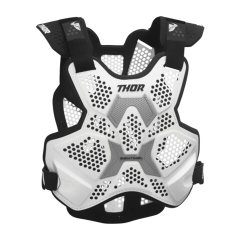 Thor Sentinel LTD Roost Guard