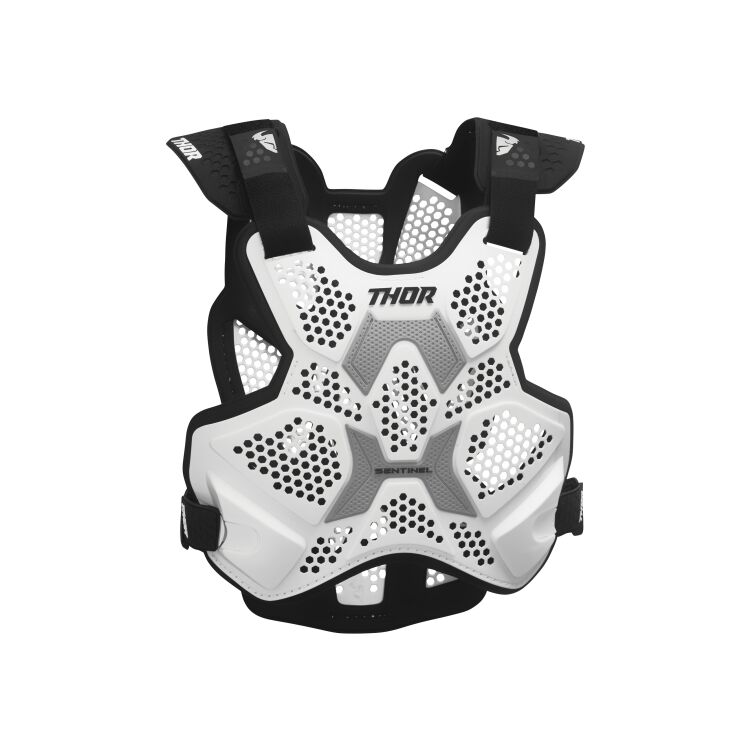 Thor Sentinel LTD Roost Guard - RevZilla