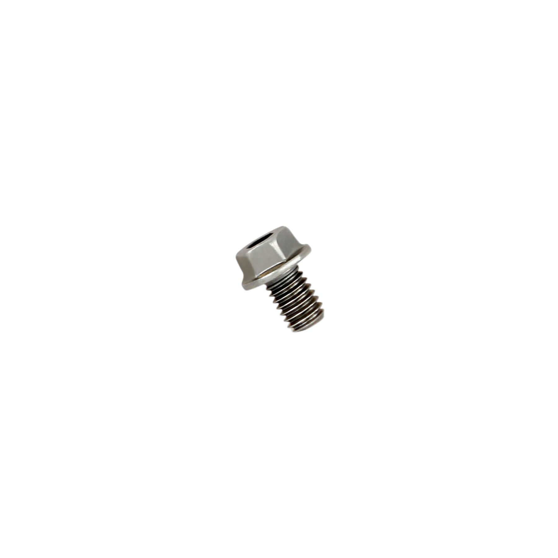 Akrapovic Replacement Bolt