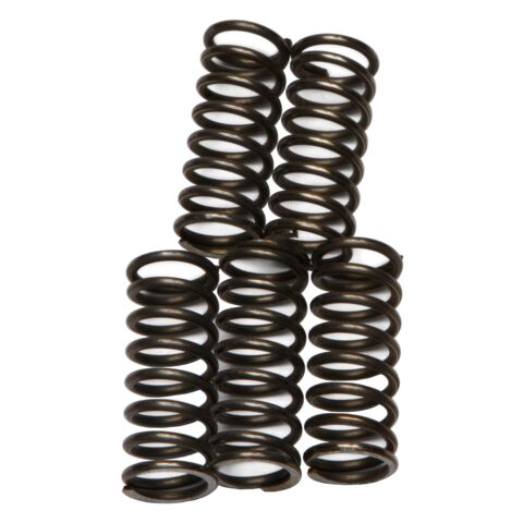 EBC CSK66 Clutch Spring Kit