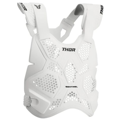 Thor Sentinel LTD Race Roost Guard