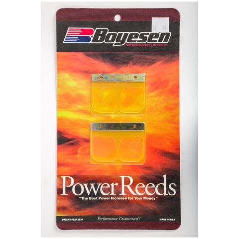 Boyesen Power Reeds Kawasaki KX250 2000-2002