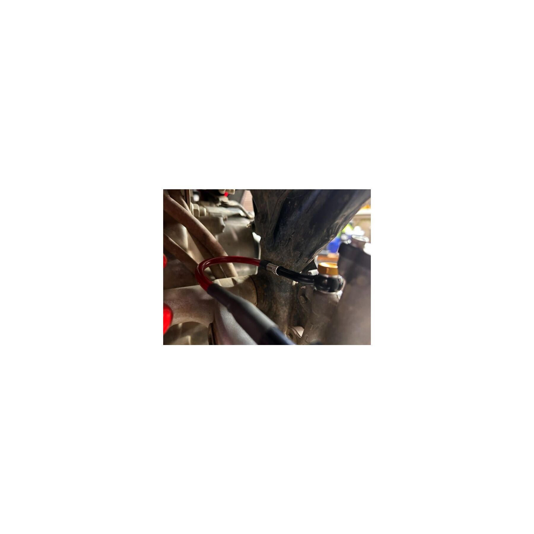 Spiegler Offroad Rear Brake Line Kit Honda CRF300L / Rally 2021-2023