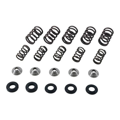 Hot Cams Valve Spring Kit Yamaha Raptor 660R 2001-2005