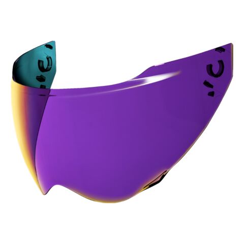 Icon Domain Face Shield (DOT)