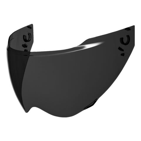 Icon Domain Face Shield (DOT)