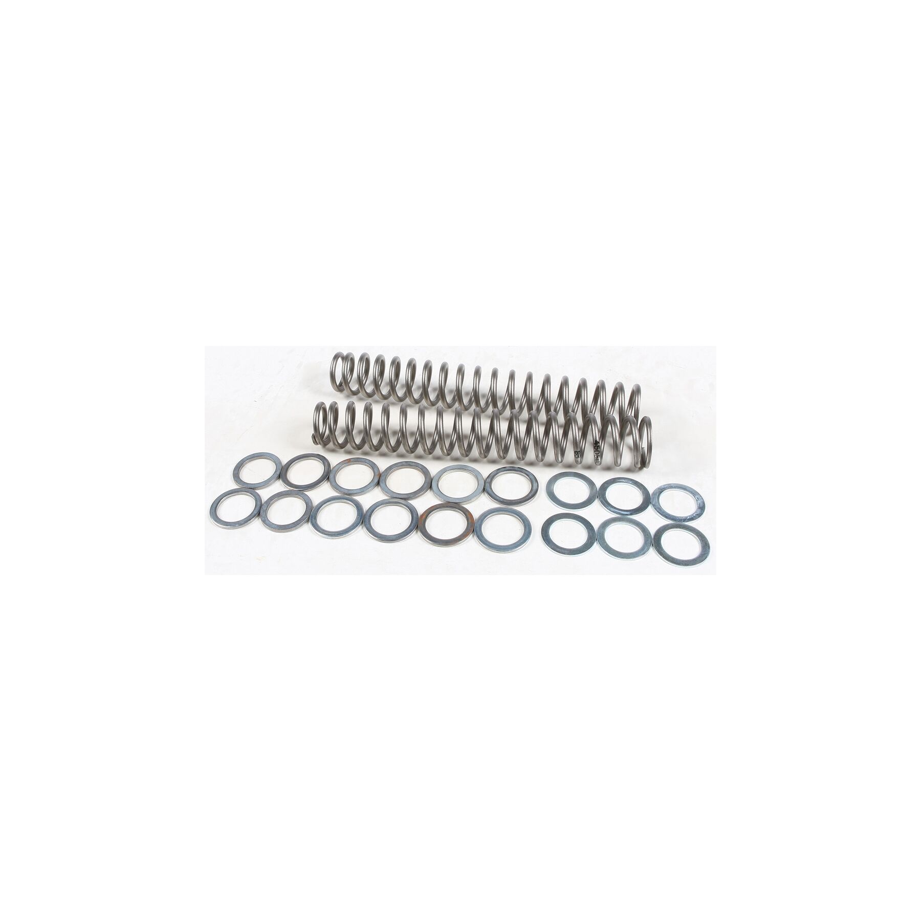 Race Tech Fork Springs FRSP S3825