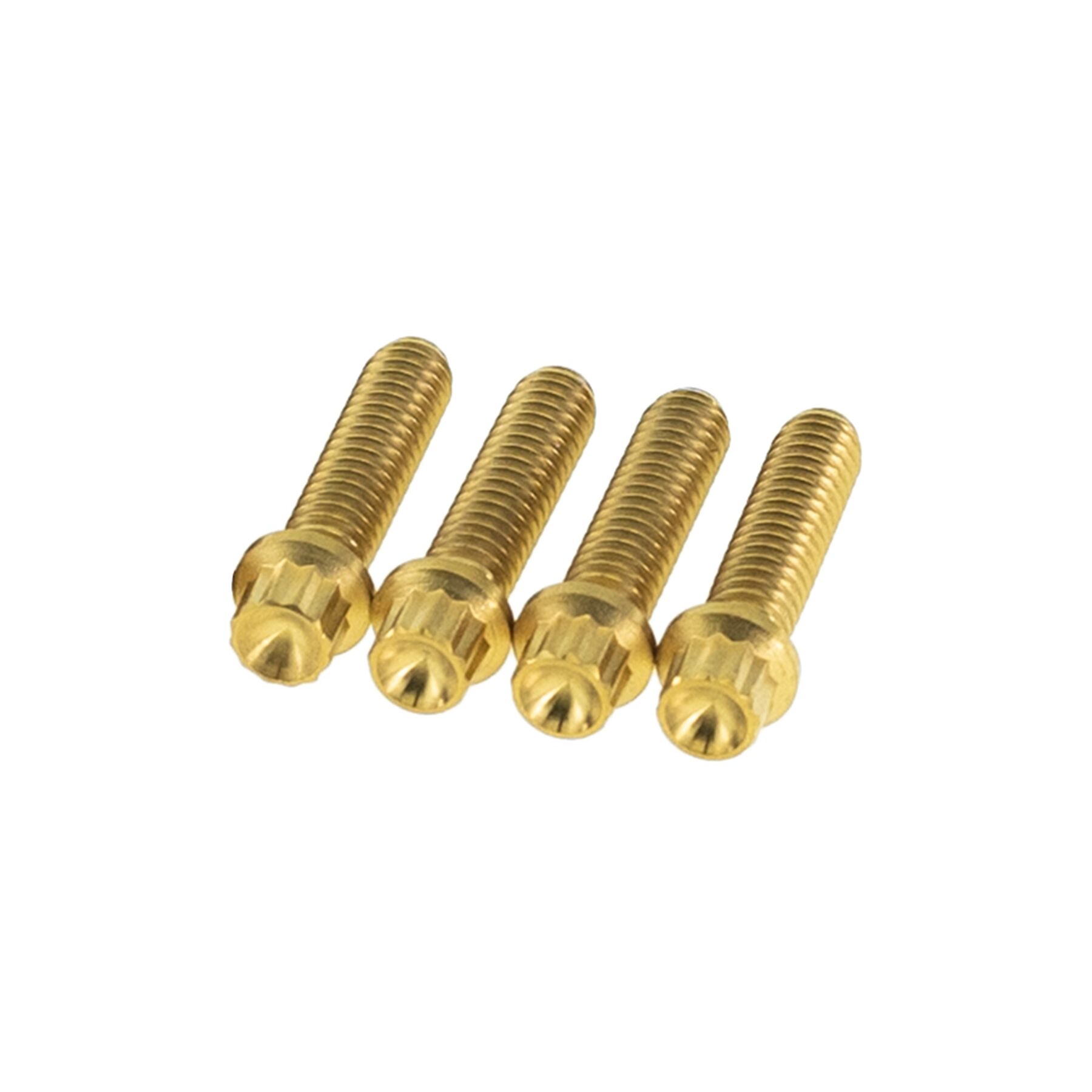 Kraus Pro-Line Titanium Hardware For Harley