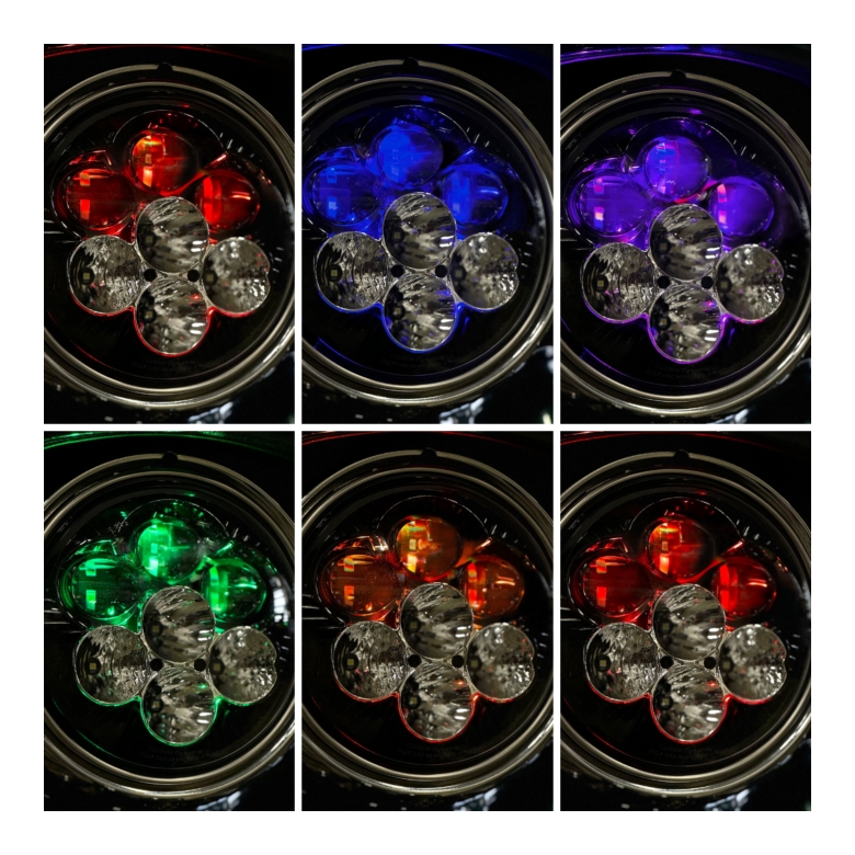 SHARK BURN Custom Classic Drive Deluxe Shark Cribbage Board