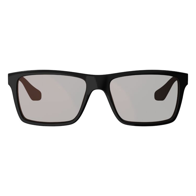 Black/Silver/Polarized Brown/Silver 20%