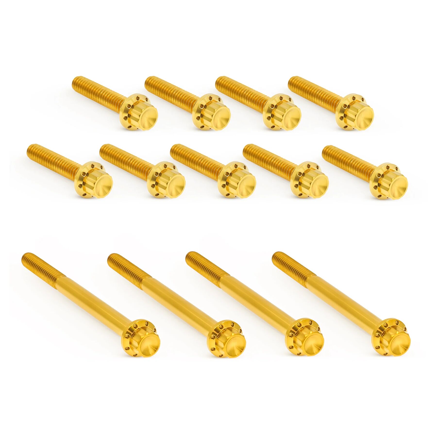 Arlen Ness 12-Point Titanium Primary Bolt Kit For Harley Touring 2007-