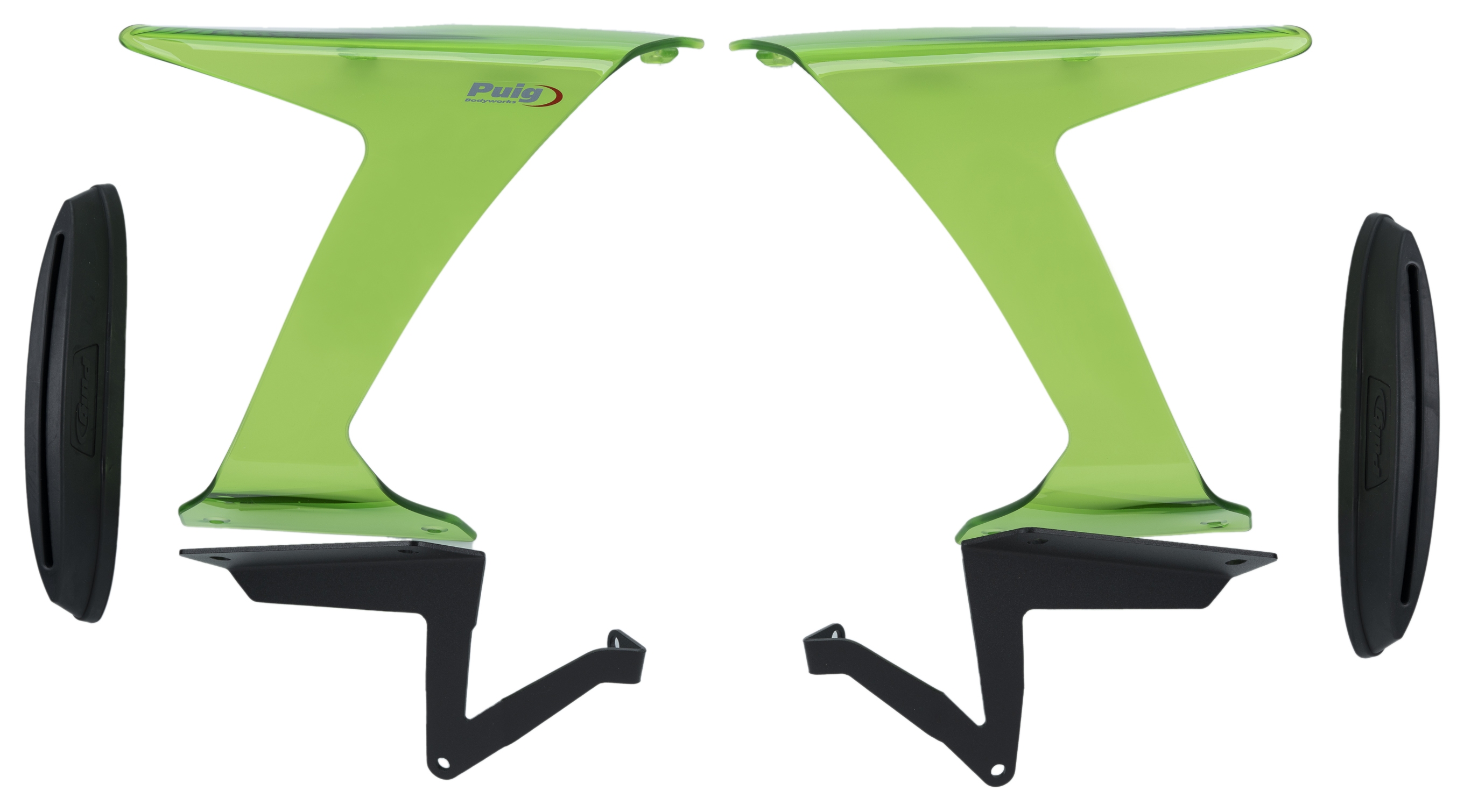 ぶり ZX6ROLDWINGLETS.png?v=