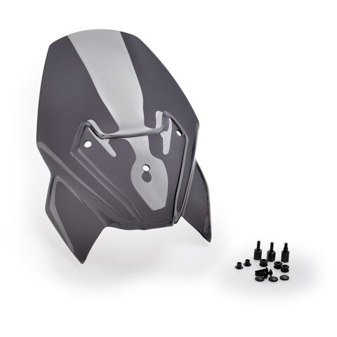 Puig Naked New Generation Windscreen BMW F900R 2020-2025