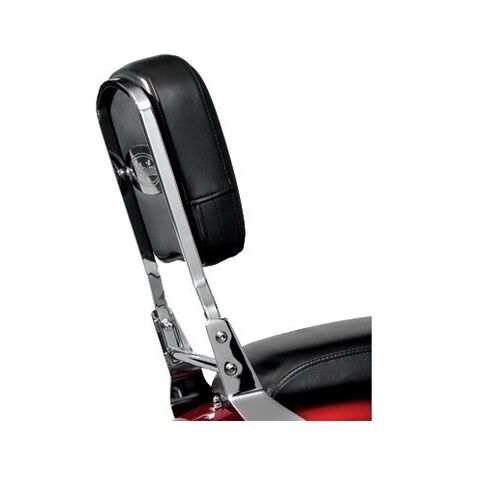 National Cycle Paladin Backrest With Pad [Previously Installed] [Incomplete]